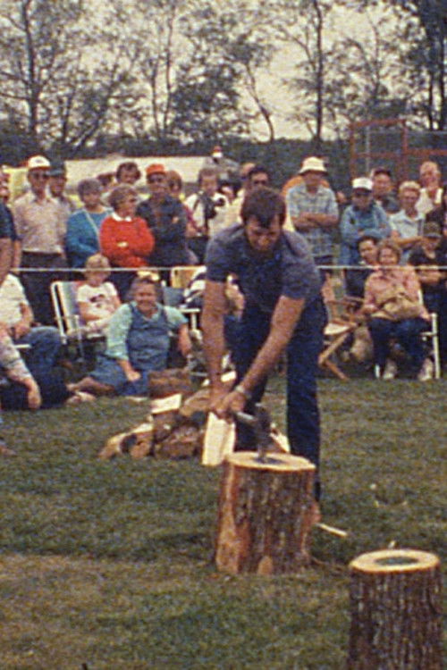 Zipper (1987) poster