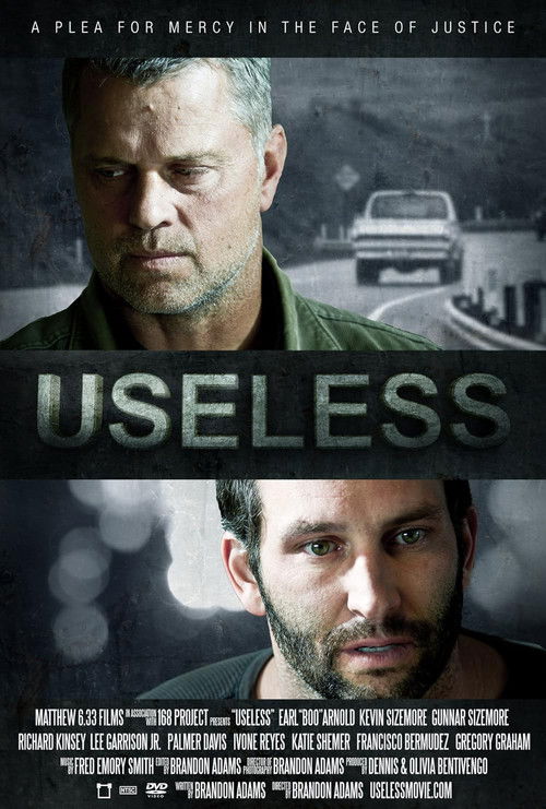 Useless (2011) poster