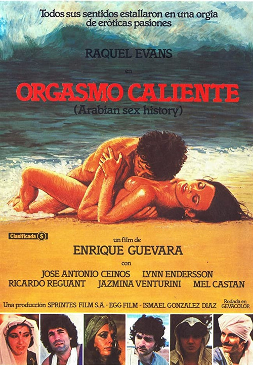 Orgasmo caliente (1981) poster