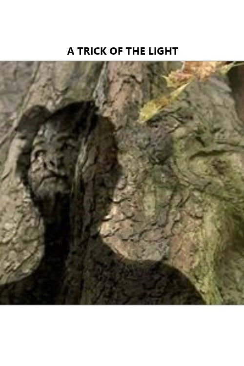 A Trick of the Light (2011) poster