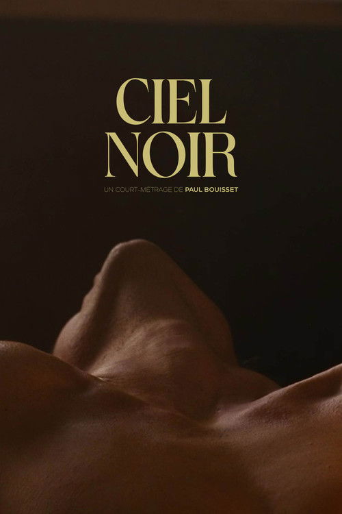 Ciel noir poster