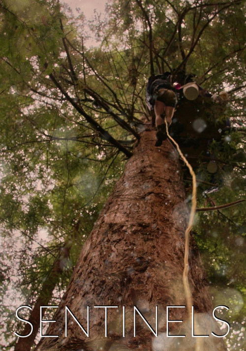 Sentinels (2022) poster