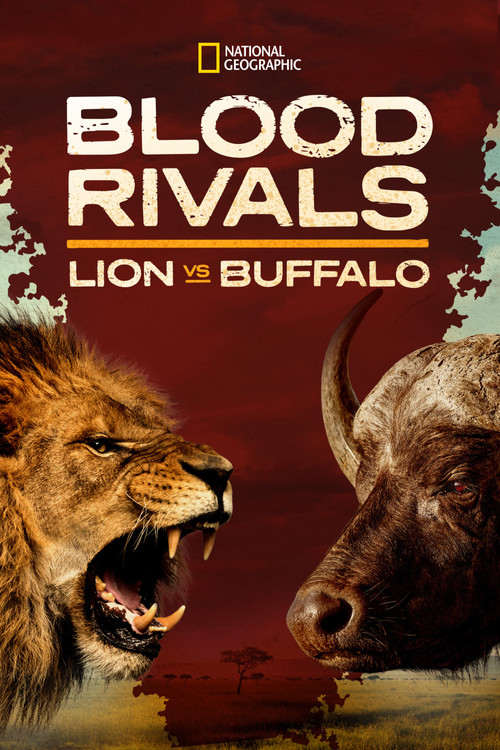 Blood Rivals: Lion vs Buffalo (2014) poster