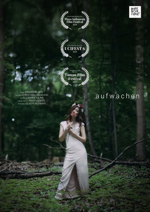 Aufwachen (2015) poster