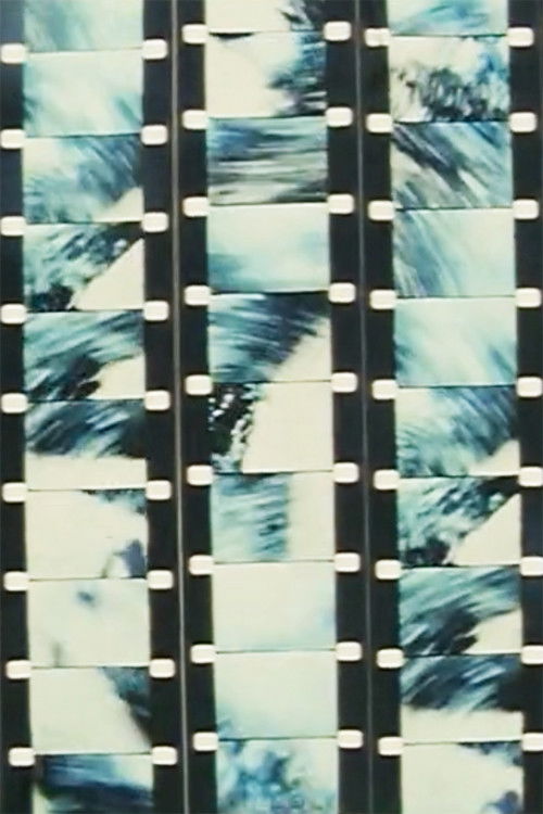 Zenith (1981) poster