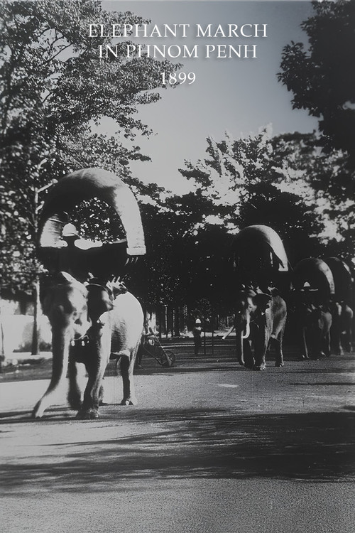 Elephant March in Phnom Penh (1899) poster