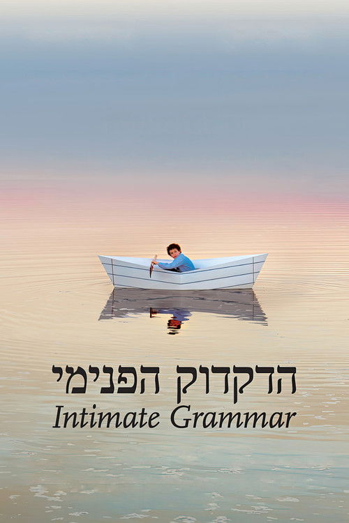 Intimate Grammar (2010) poster