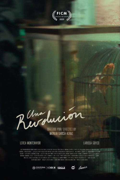 A Revolution (2023) poster