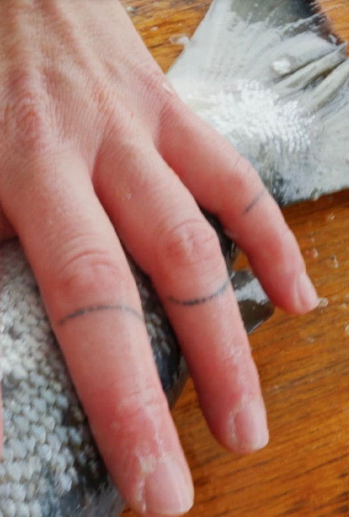 This Is a Story about Salmon (2025) poster