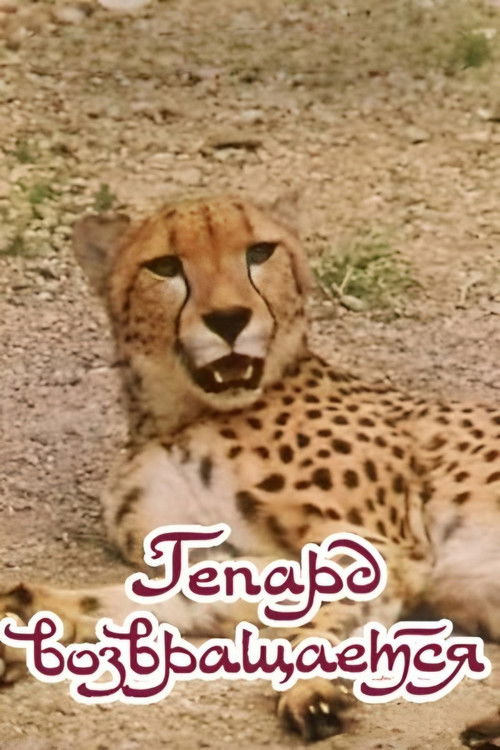 The Cheetah Comes Back (1985) poster