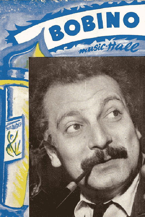 Georges Brassens - Live à Bobino (1976) poster