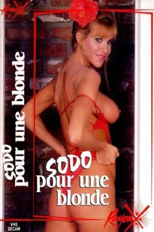 La grande jouissance de Pamela (1981) poster