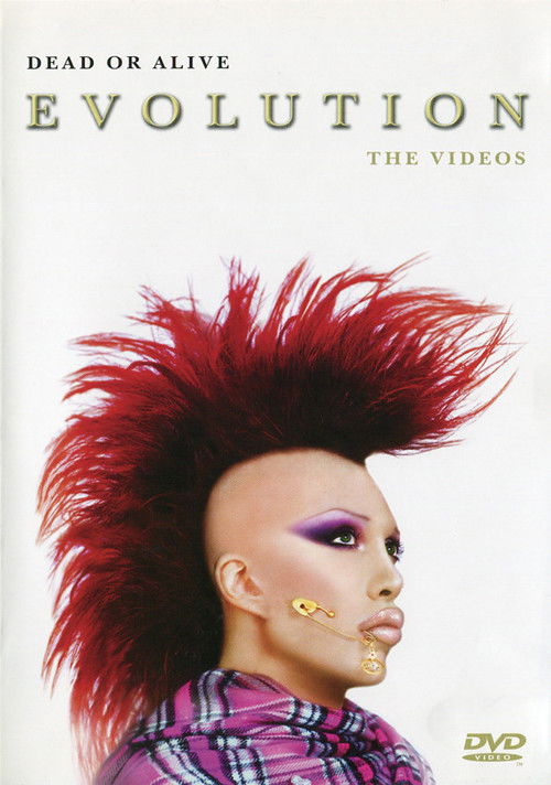 Dead Or Alive: Evolution - The Videos (2003) poster