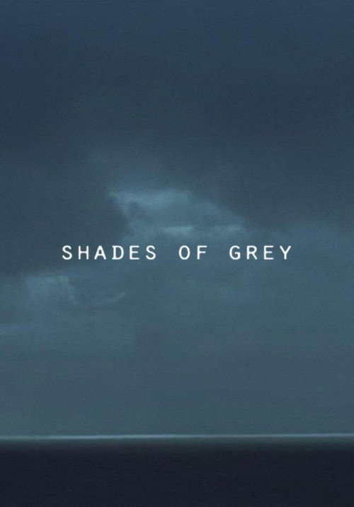 Shades of Grey (2014) poster