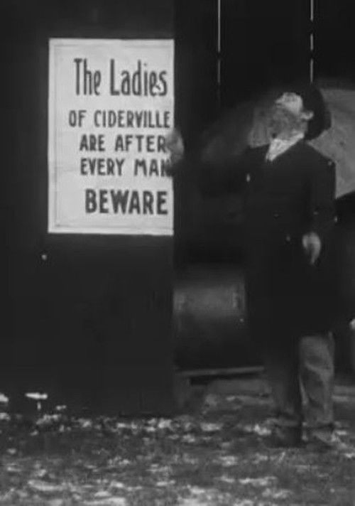 When Ciderville Went Dry (1915) poster