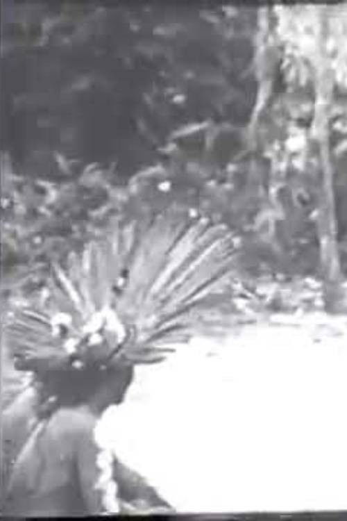 Cerimônias Fúnebres entre os Índios Bororo (1935) poster