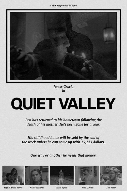 Quiet Valley (2022) poster