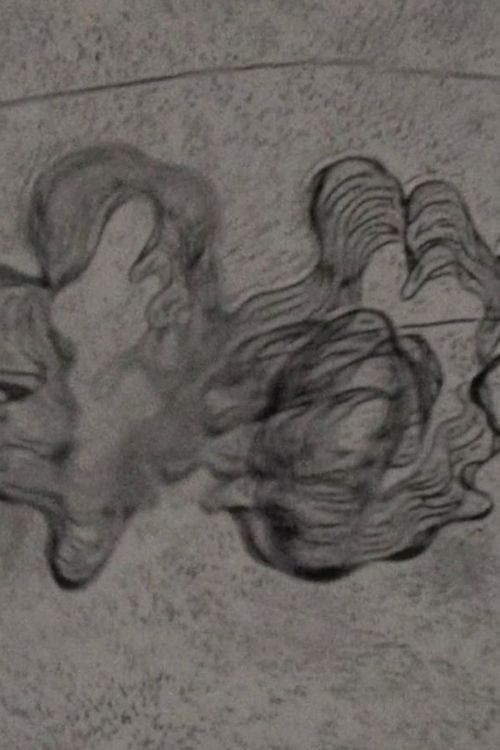 In a Mere Metamorphosis (2020) poster