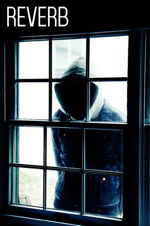 Reverb (2014) poster