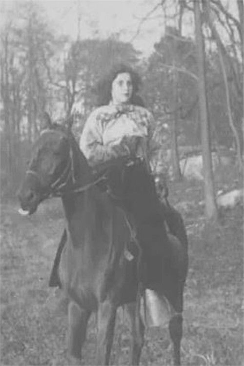 The Woman Hater (1910) poster