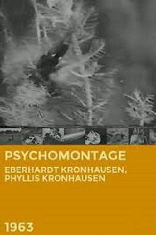 Psychomontage (1963) poster