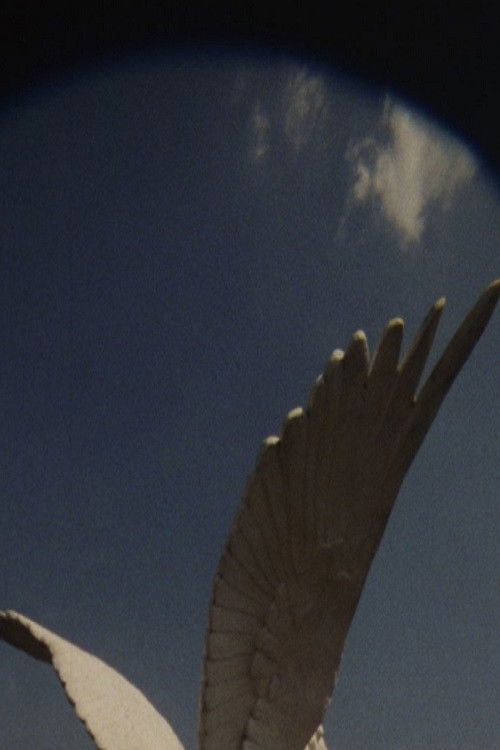 The House, The True One and The One That Follows, Is Yet to be Built (2019) poster