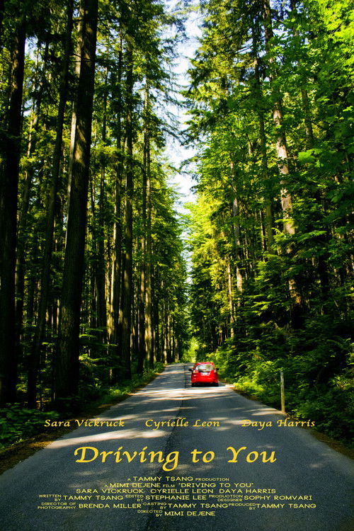 Driving to You (2013) poster