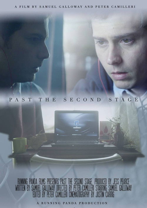 Past the Second Stage (2016) poster
