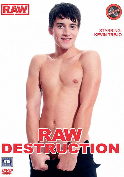 Raw Destruction (2011) poster