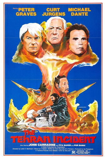 Missile X - Geheimauftrag Neutronenbombe (1979) poster