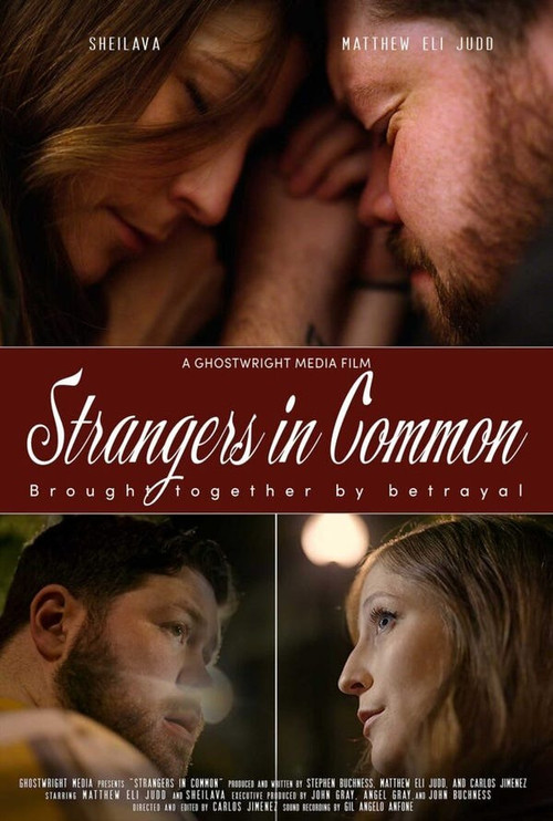 Strangers in Common poster