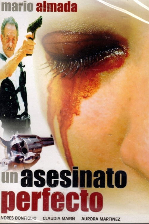 Un Asesinato Perfecto (1995) poster