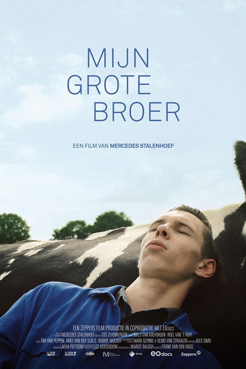 Mijn grote broer (2023) poster