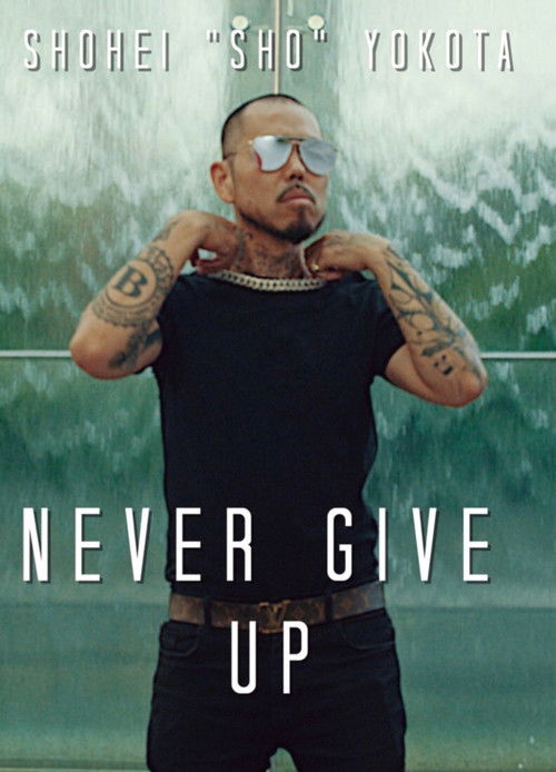 NEVER GIVE UP (2019) poster