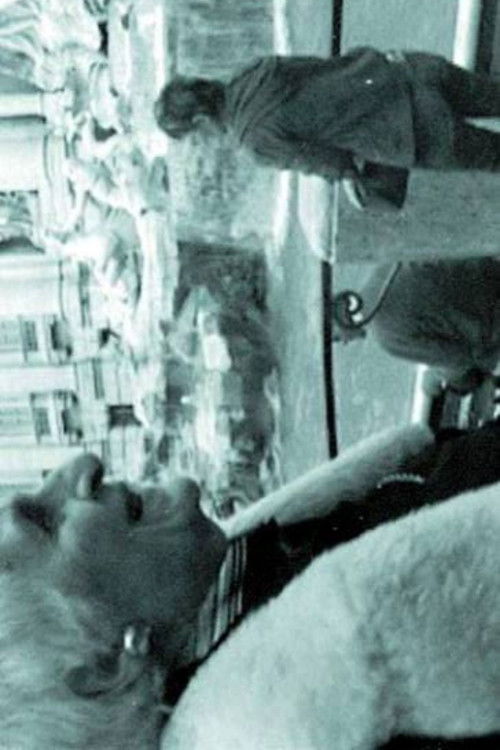 THE INTERPRETER OF BLACK AND WHITE FILMS (2007) poster