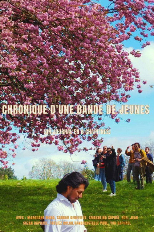 Chronique d'une bande de jeunes (un journal en 6 chapitres) poster