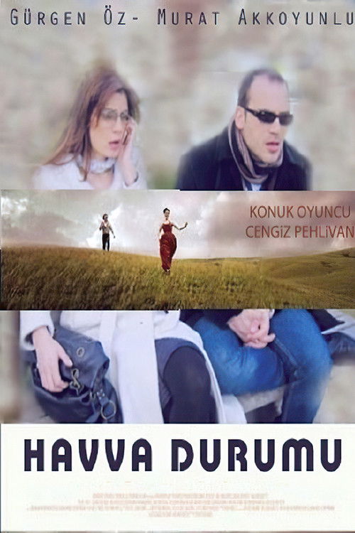 Havva Durumu (2007) poster