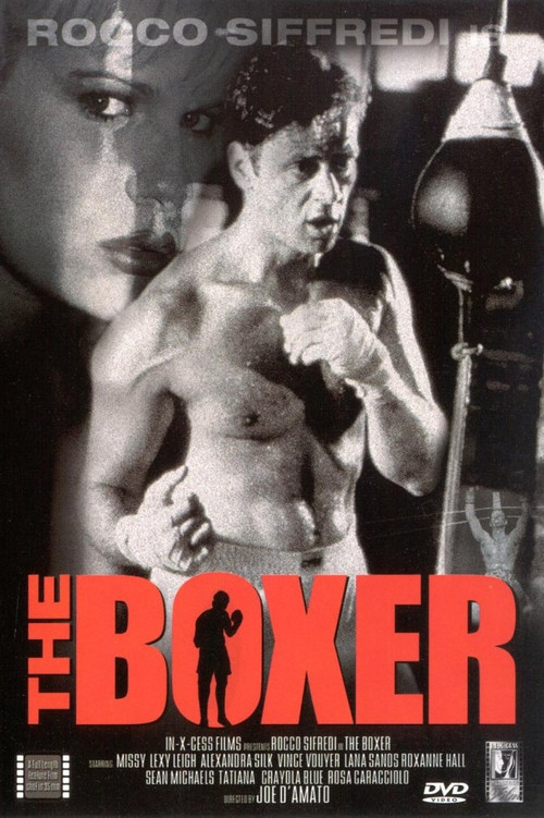 The Boxer (1997) poster