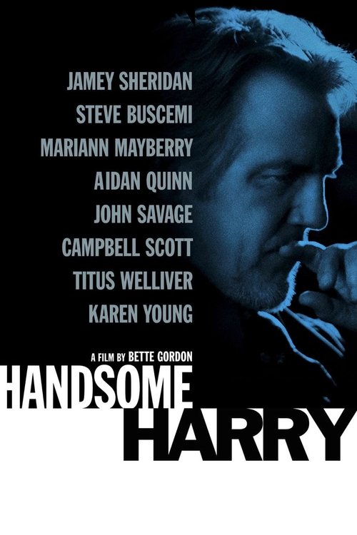 Yakışıklı Harry (2009) poster