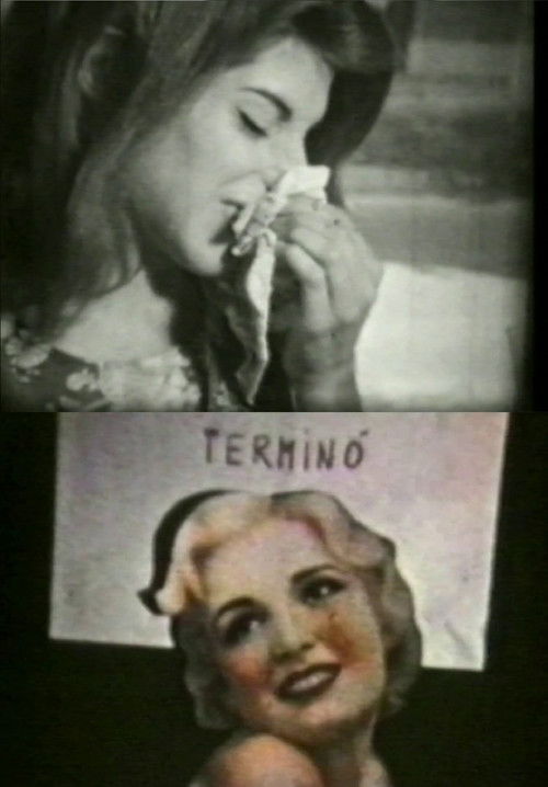 Chicas de flores (1973) poster