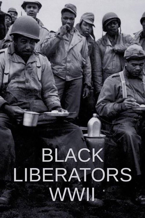 Black Liberators WWII (2021) poster