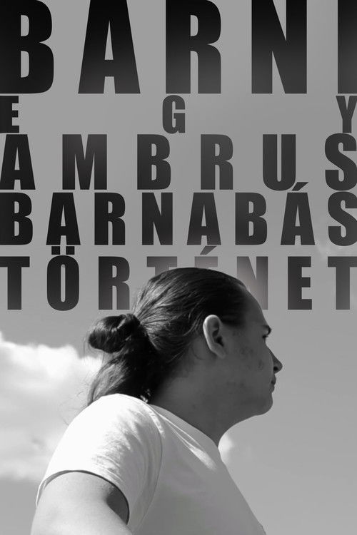 BARNI: Egy Ambrus Barnabás-történet (2024) poster
