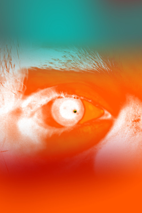 "Maison" (2025) poster