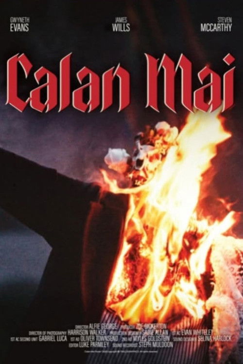 Calan Mai (2025) poster
