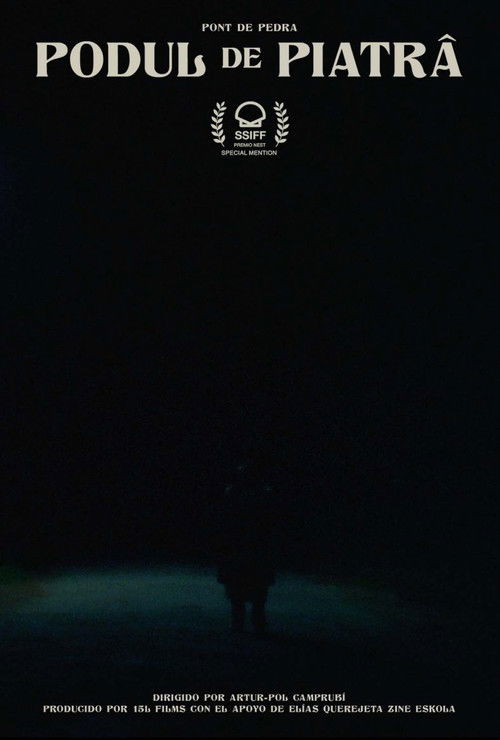 Podul de piatrâ (2021) poster