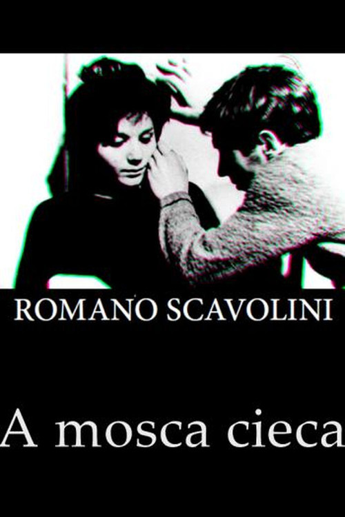 The Blind Fly (1966) poster