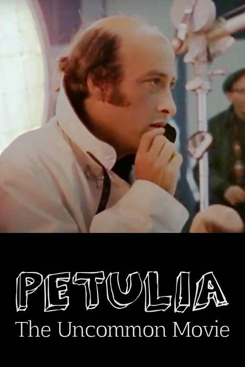 Petulia: The Uncommon Movie (1968) poster