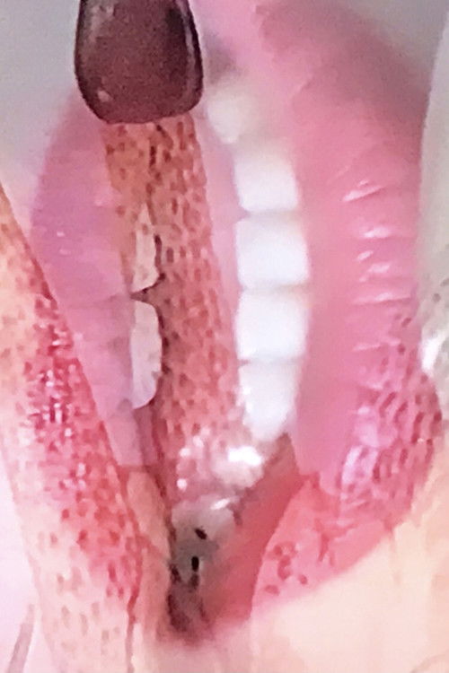 Art-Usi (2002) poster