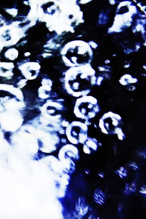 2025.03.17 (2025) poster