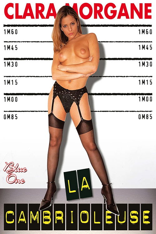 La Cambrioleuse (2002) poster